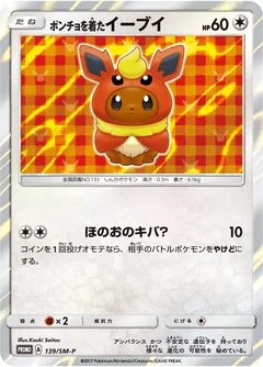 Poncho Wearing Eevee 139Sm P