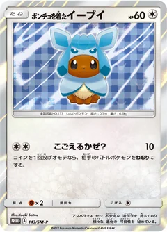 Poncho Wearing Eevee 143Sm P