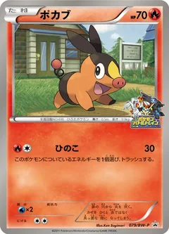 Tepig Hokkaido Battle 79Bw P