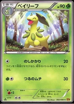Bayleef 2