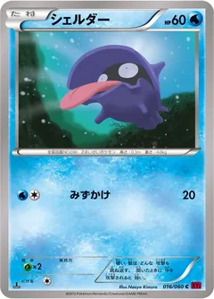 Shellder 16