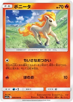 Ponyta 9