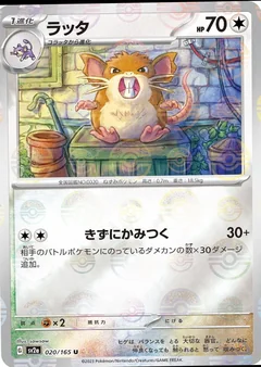 Raticate Reverse 20