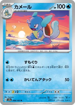 Wartortle 171