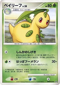 Bayleef 1St Edition
