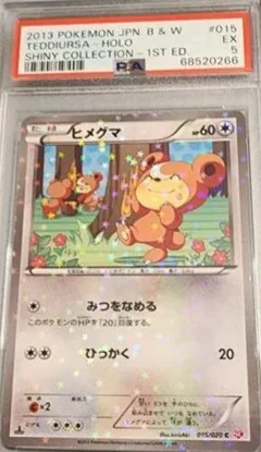 Teddiursa Holo 1St Edition 15