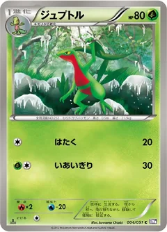 Grovyle 4