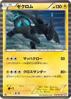 Zekrom 19