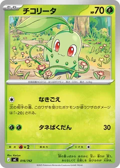 Chikorita 16