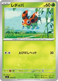 Ledyba 19