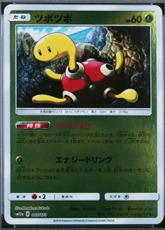 Shuckle Reverse Holo 7