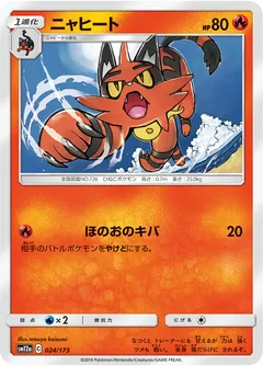 Torracat 24