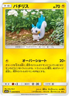 Pachirisu 29