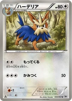 Herdier 1St Edition 43