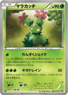 Maractus 8
