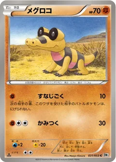 Sandile 31