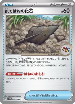 Antique Plume Fossil 81