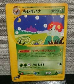 Bellossom 19