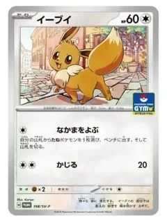 Eevee Gym Promo 198