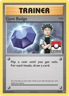 Gym Badge Xy203