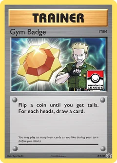 Gym Badge Xy205