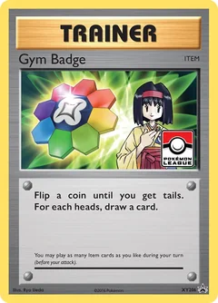 Gym Badge Xy206