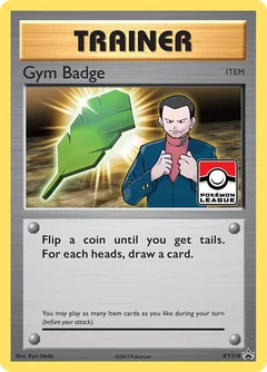 Gym Badge Xy210