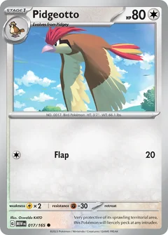 Pidgeotto 17
