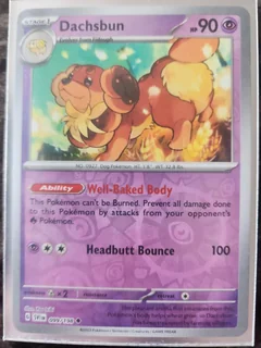 Dachsbun Reverse Holo 99