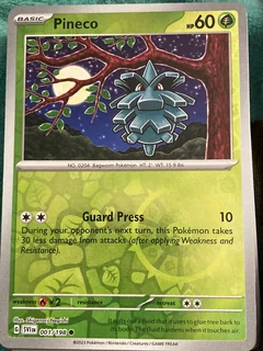 Pineco Reverse Holo 1