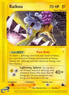 Raikou 28