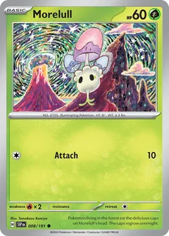 Morelull 8