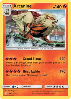 Arcanine Reverse Holo 22