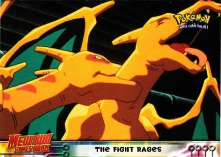 Fight Rages