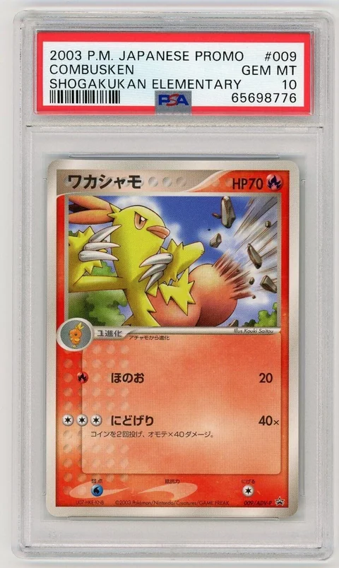 Combusken Shogakukan Elementary