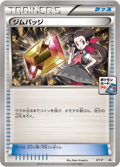 Gym Badge Xy P