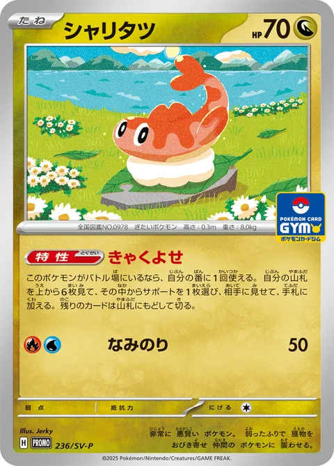 Tatsugiri Gym 236Sv P