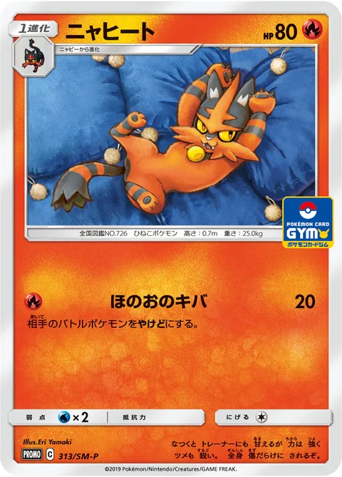 Torracat 313Sm P