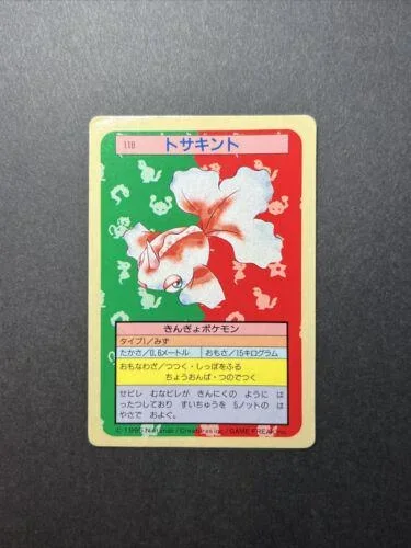 Goldeen Blue Back