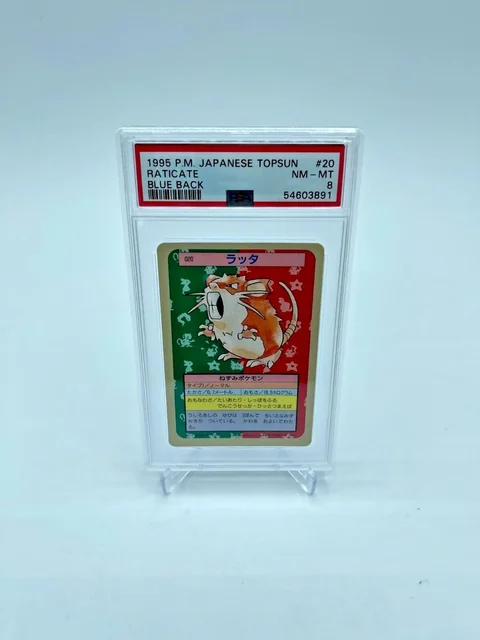 Raticate Blue Back