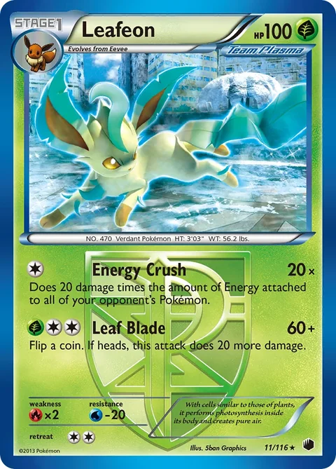 Leafeon State Championships