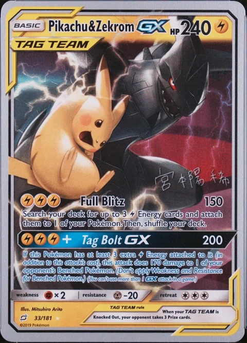 Pikachu And Zekrom