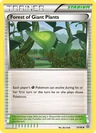 Forest Of Giant Plants 74