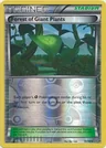 Forest Of Giant Plants Reverse Holo 74