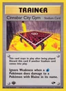 Cinnabar City Gym 1St Edition 113