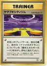 Saffron City Gym