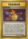 Fruit Of Miracle Trainer Champion Road 2000