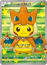 Poncho Wearing Pikachu Charizard 208Xy P