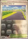 Cycling Road Master Ball 165