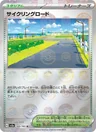Cycling Road Reverse 165